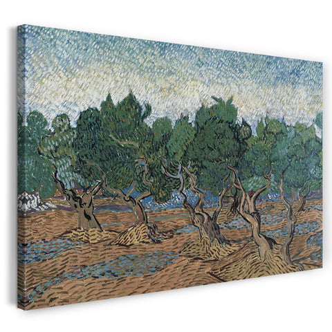 Leinwandbild Vincent van Gogh - Oliven-Hain