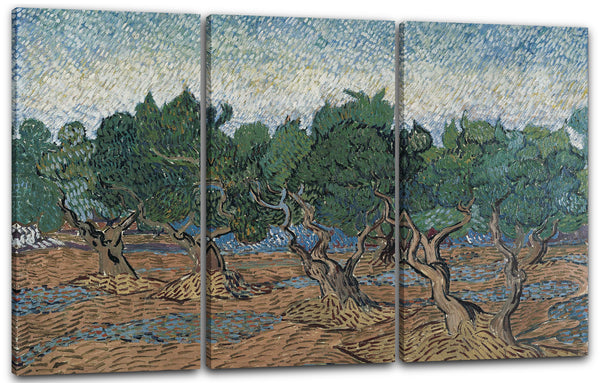 Leinwandbild Vincent van Gogh - Oliven-Hain