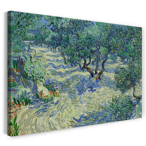 Leinwandbild Vincent van Gogh - Oliven-Feld
