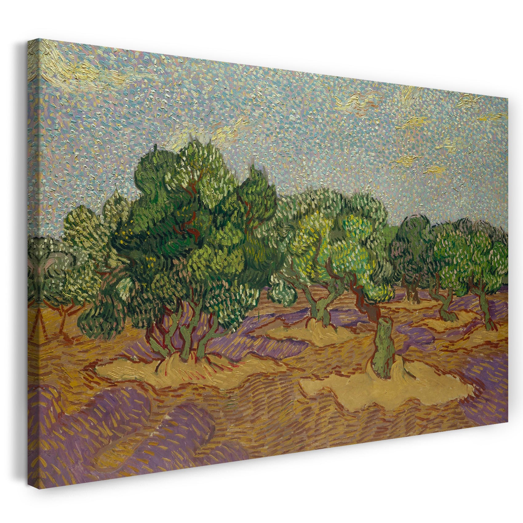 Leinwandbild Vincent van Gogh - Oliven-Bäume II