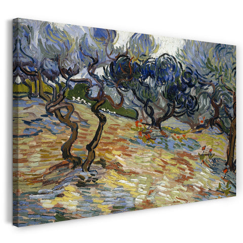 Leinwandbild Vincent van Gogh - Oliven-Bäume