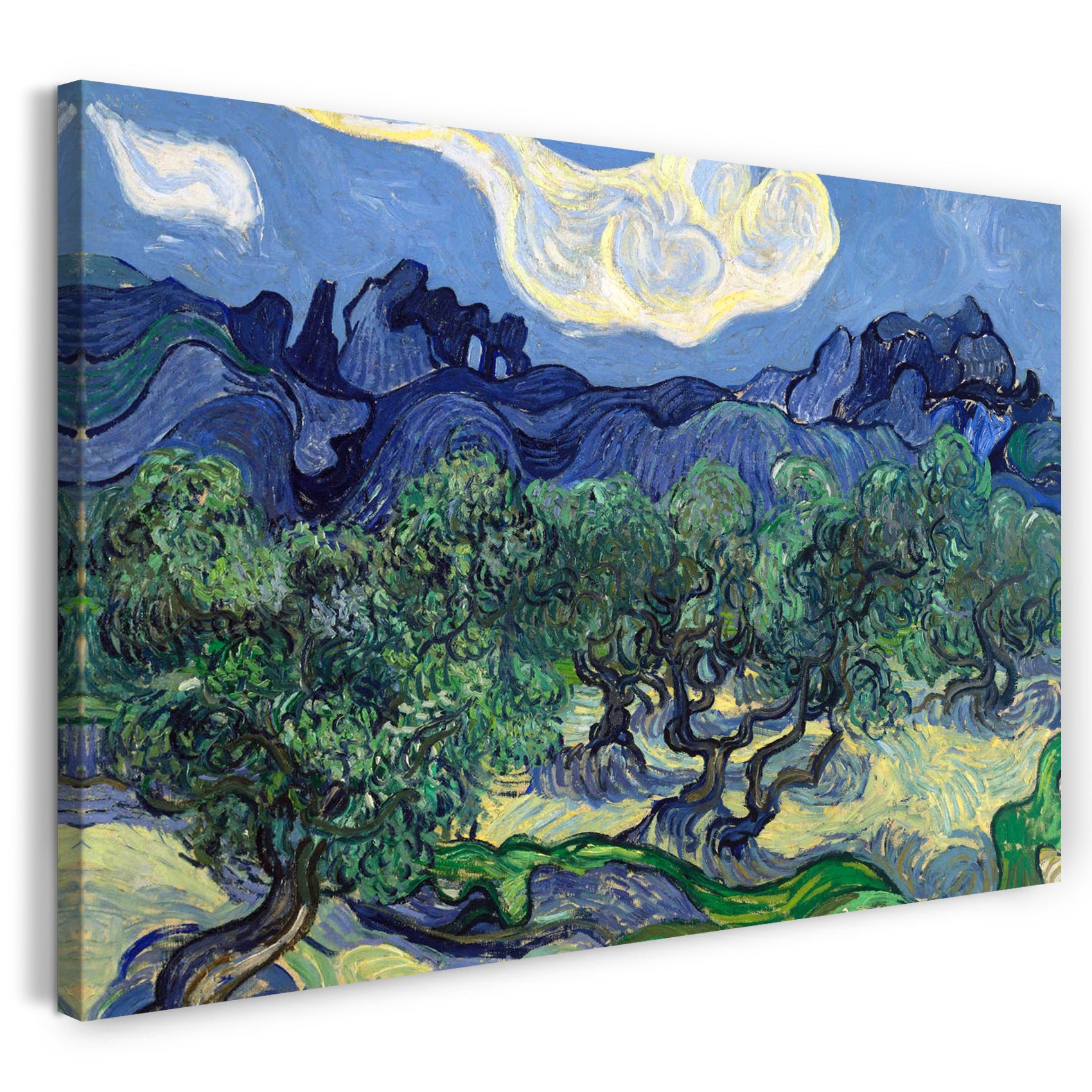 Leinwandbild Vincent van Gogh - Die Oliven-Bäume