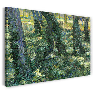 Leinwandbild Vincent van Gogh - Unterholz