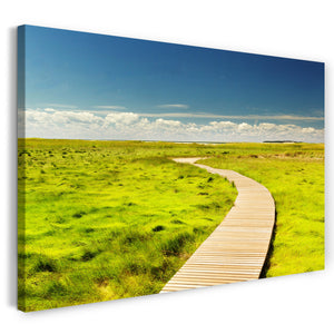 Leinwandbild Landschaftsbilder Holz-Steg mitten druch grüner Wiese vor blauem Himmel