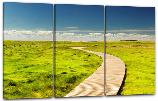 Leinwandbild Landschaftsbilder Holz-Steg mitten druch grüner Wiese vor blauem Himmel
