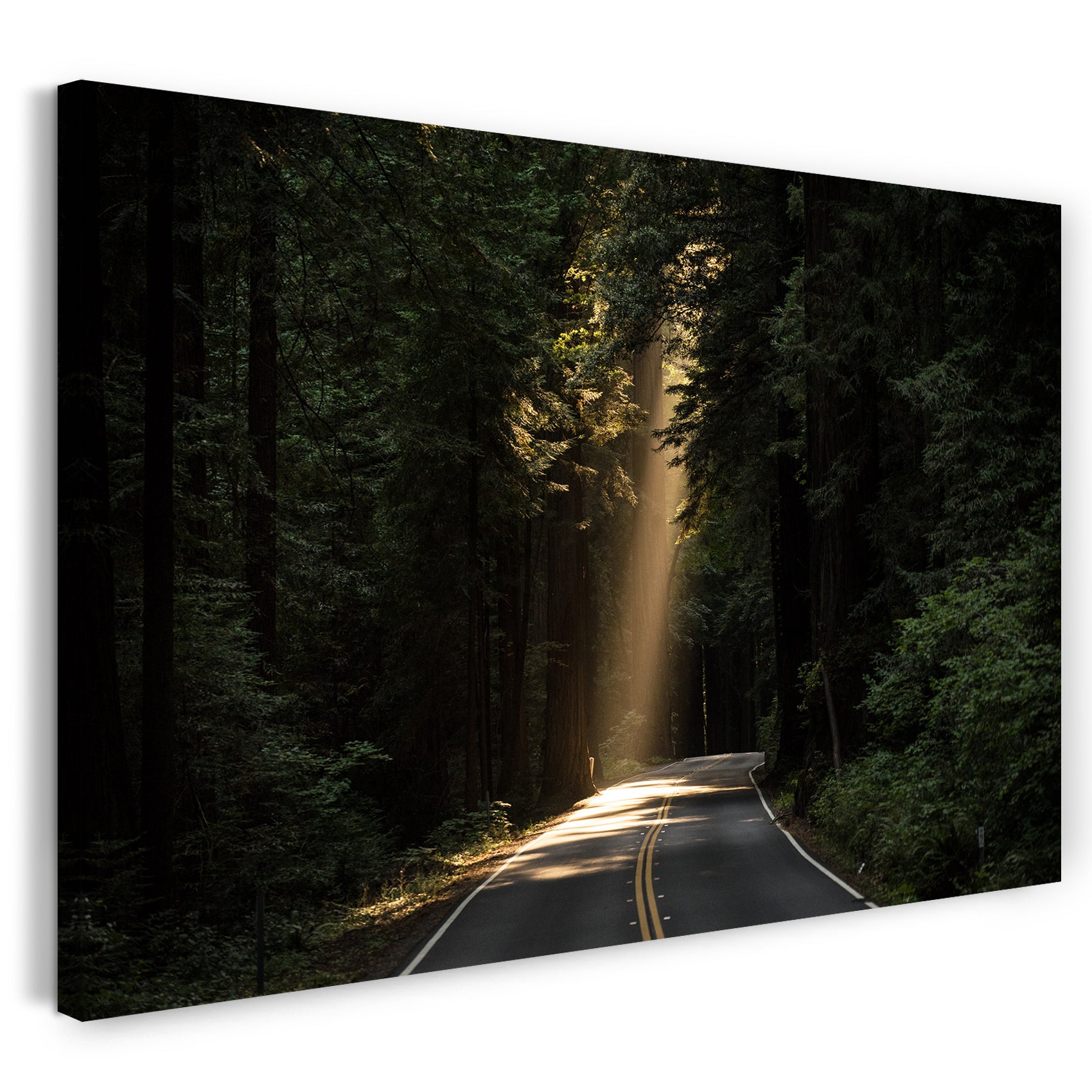Leinwandbild Landschaftsbilder Straße im Wald, Lichtstrahlen von oben