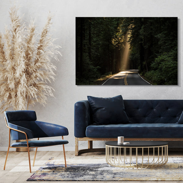 Leinwandbild Landschaftsbilder Straße im Wald, Lichtstrahlen von oben