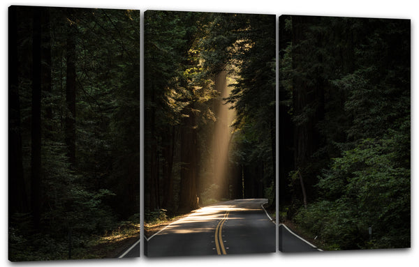 Leinwandbild Landschaftsbilder Straße im Wald, Lichtstrahlen von oben