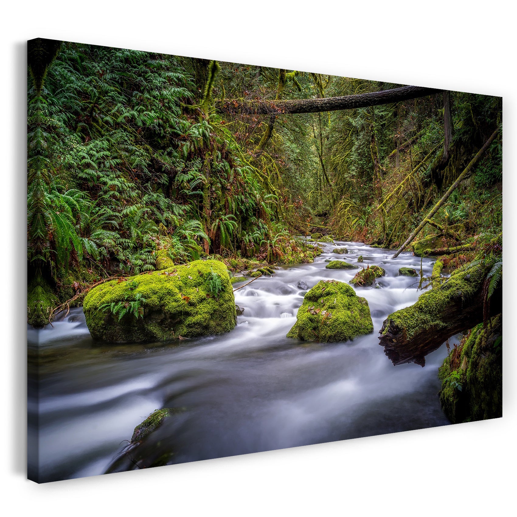 Leinwandbild Landschaftsbilder Fluss im Wald, Strömung grün bewachsene Felsen