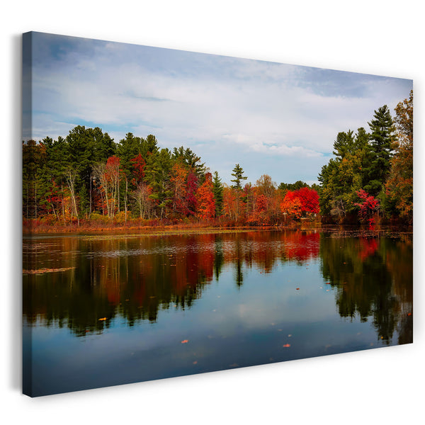 Leinwandbild Wald am See, Bäume spiegeln sich im Wasser, irgendwann im Herbst