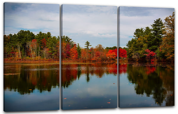 Leinwandbild Wald am See, Bäume spiegeln sich im Wasser, irgendwann im Herbst