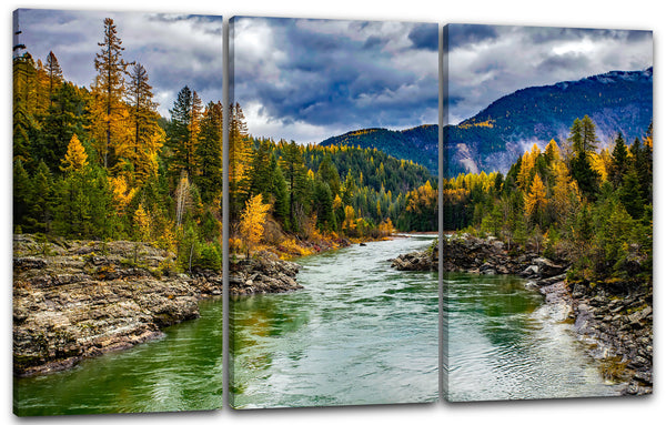 Leinwandbild Landschaftsbilder grüner Fluss zwischen durchquert Wald, vor Berg