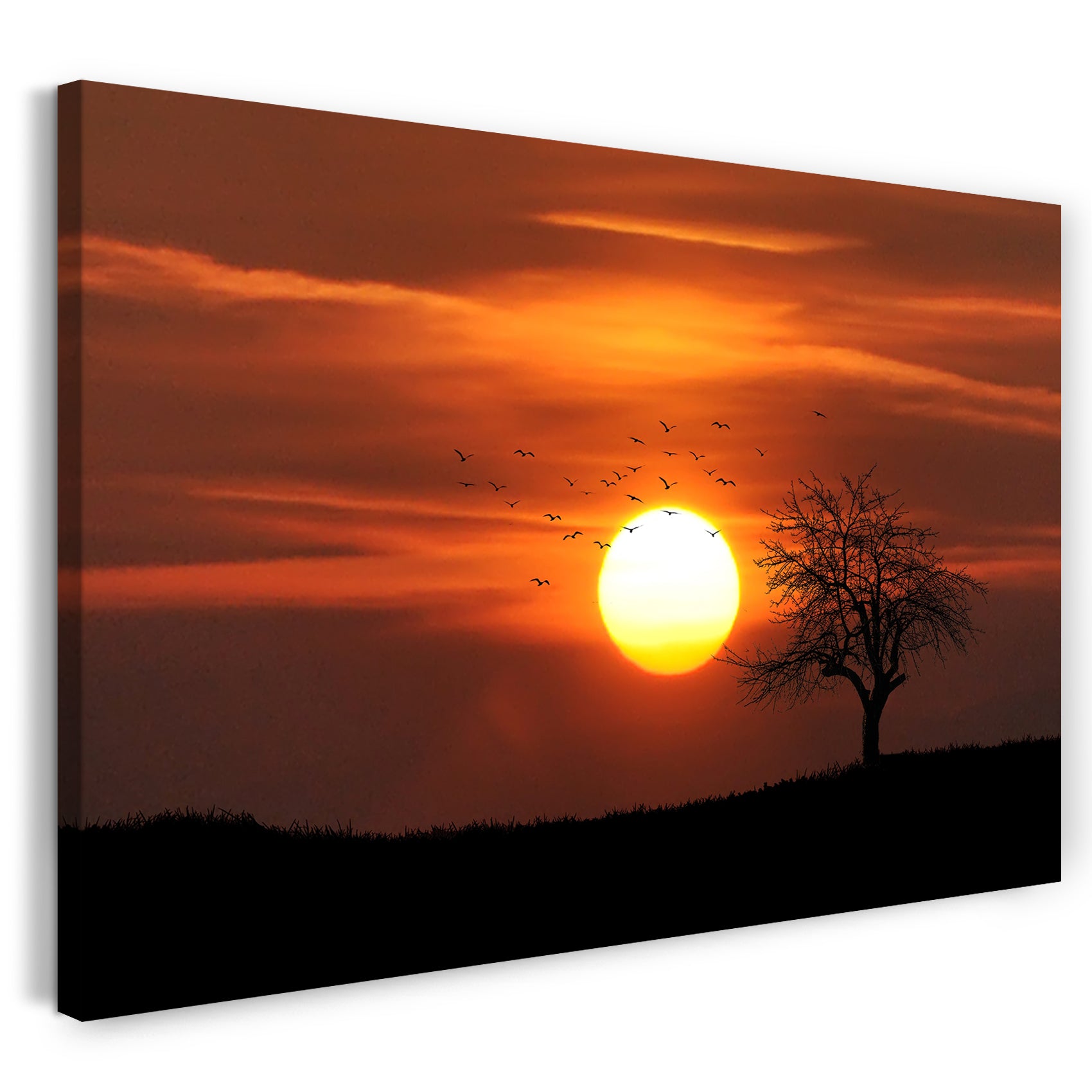 Leinwandbild Vogelschwarm, Baum am Hügel vor Sonnenuntergang mit rot-gelber Sonne