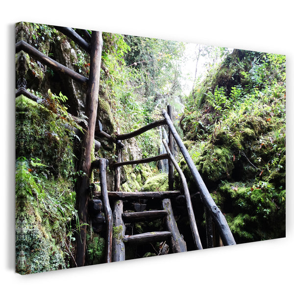 Leinwandbild Holztreppe im Regenwald, Naturbilder Landschaften zur Zimmer-Deko