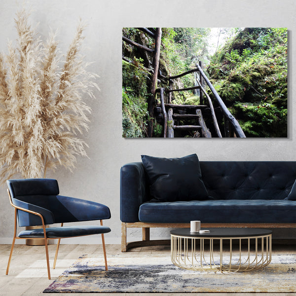 Leinwandbild Holztreppe im Regenwald, Naturbilder Landschaften zur Zimmer-Deko