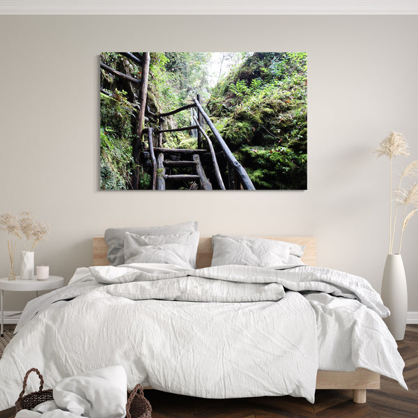 Leinwandbild Holztreppe im Regenwald, Naturbilder Landschaften zur Zimmer-Deko