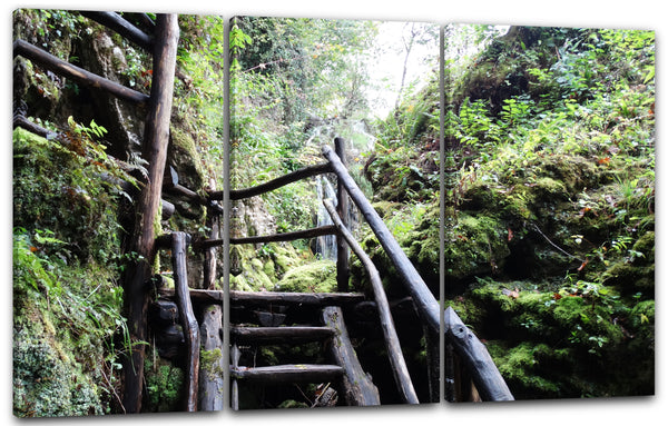 Leinwandbild Holztreppe im Regenwald, Naturbilder Landschaften zur Zimmer-Deko