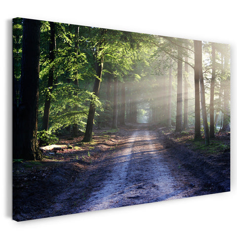 Leinwandbild Weg Straße durch Wald, umgeben von Bäumen, Lichtstrahlen, Wandbild