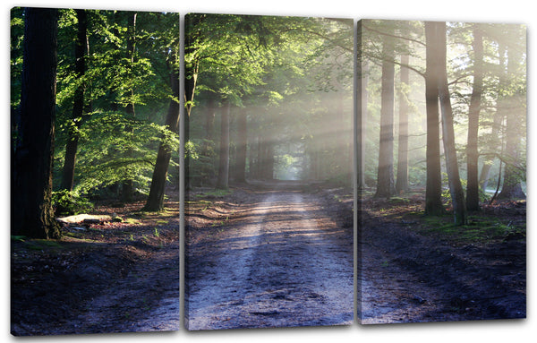 Leinwandbild Weg Straße durch Wald, umgeben von Bäumen, Lichtstrahlen, Wandbild
