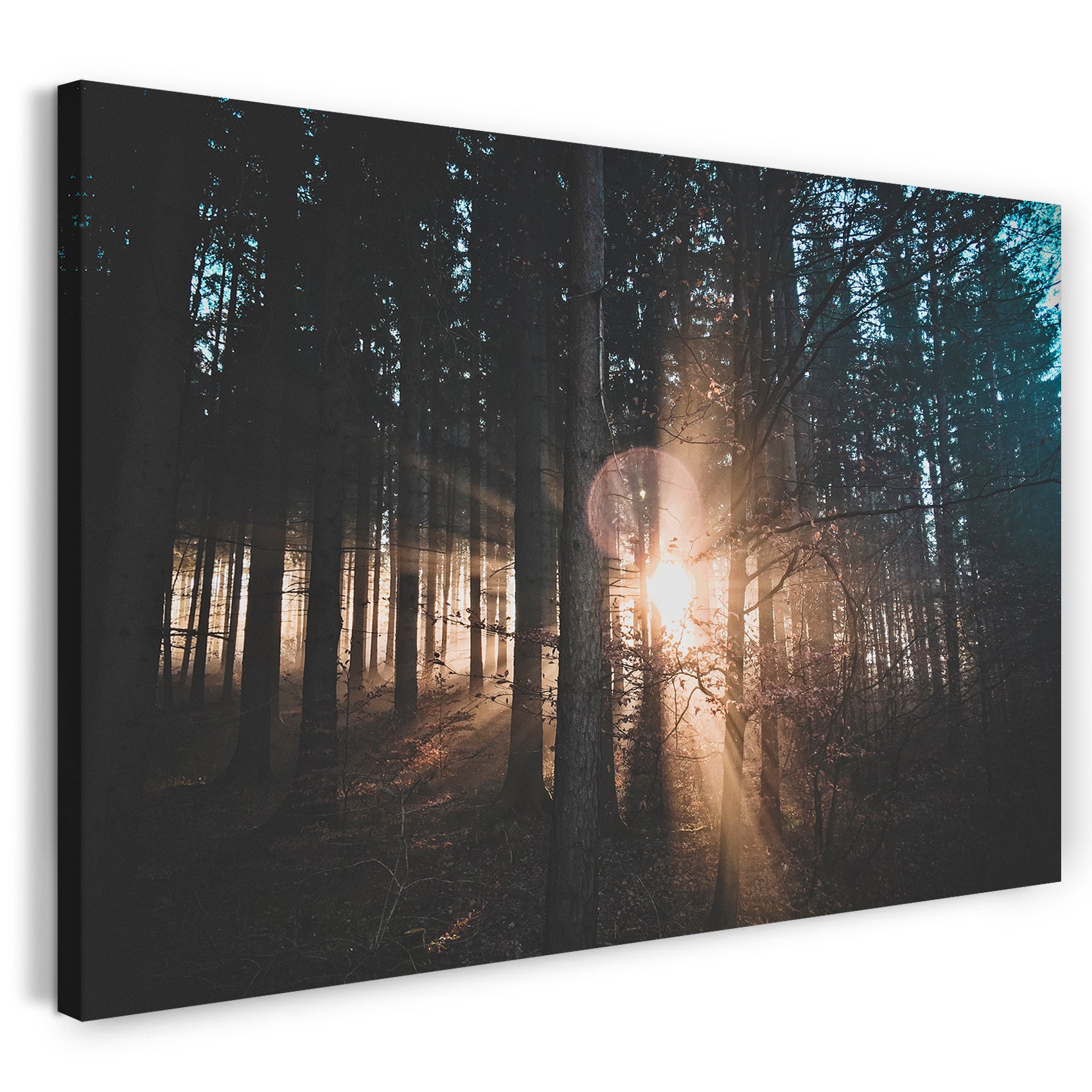 Leinwandbild Naturbilder Lichtstrahl durchdringen Wald, Wandbild zur Zimmer-Deko