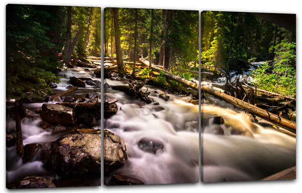 Leinwandbild Fluss river Wald forest green Deutschland Natur-Bilder Wasserfall