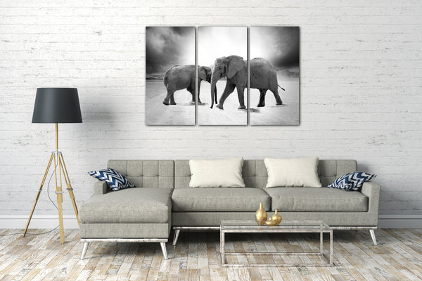 Leinwandbild Elefanten Tier-Bilder cute süß sweet schwarz-weiß black-white Afrika