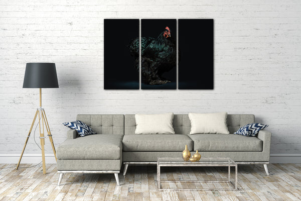 Leinwandbild Hahn Huhn Tier-Bilder art-fotografy Kunst-Fotografie cute anmutig