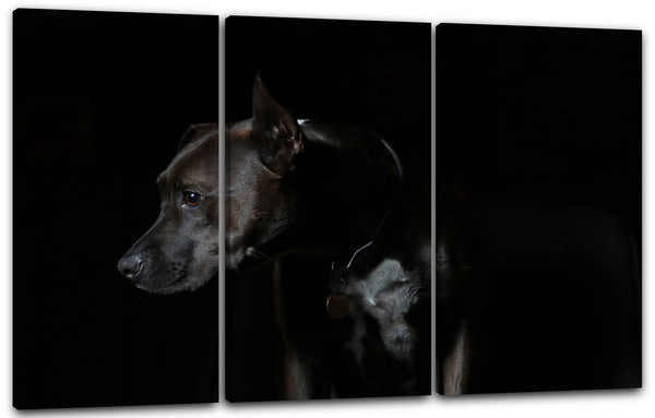 Leinwandbild Hund dog Tier-Bilder Pinscher Dogge Dobermann Cute Schwarz-Weiß