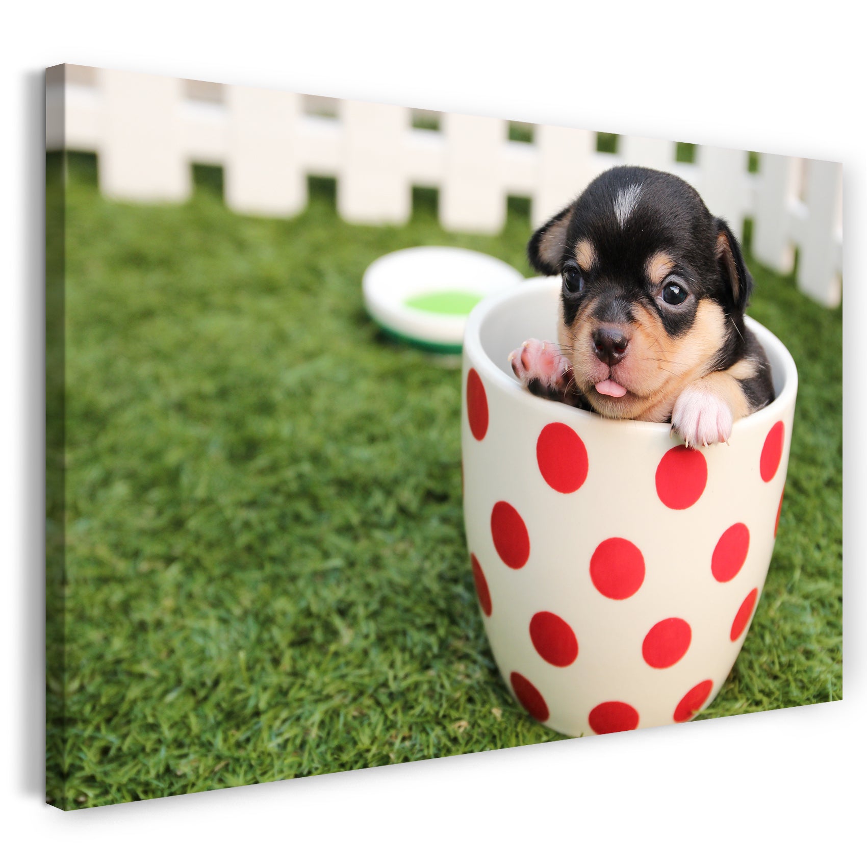 Leinwandbild Kleiner Puppy in Tasse Tier-Bilder süßes Hunde-Baby Hundebabies cute