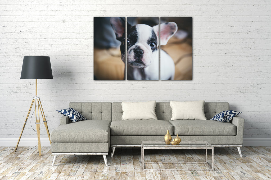 Hun Leinwandbild Printed Paintings – schwarz-weiß Tier-Bilder süßes Bulldogge Französische