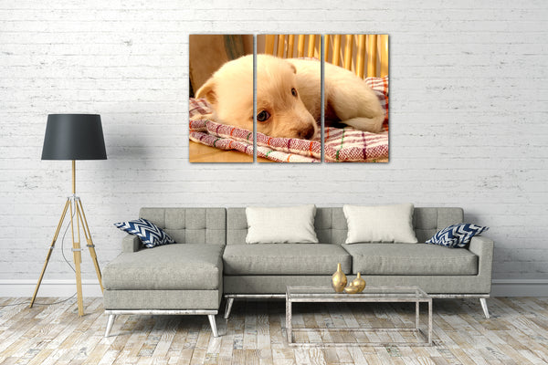 Leinwandbild Weißer kleiner Hund Tier-Bilder süßes Hunde-Baby Hundebabies white