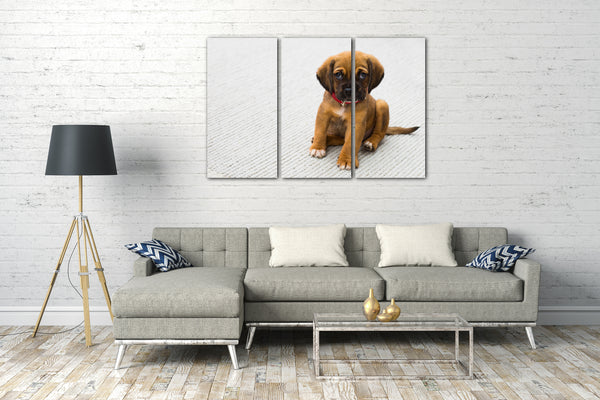 Leinwandbild Little Puppy Schäferhund Tier-Bilder süßes Hunde-Baby Hundebabies