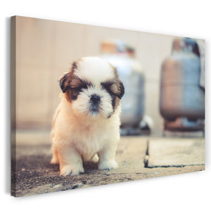 Leinwandbild süßes Hunde-Baby flauschig Tier-Bilder Hunde-Babies