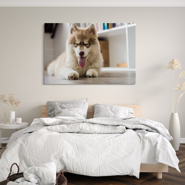 Leinwandbild süßes Hunde-Baby Husky Samojede Spitz Tierbilder Hundebabies