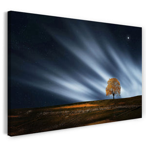 Leinwandbild Fantasy-Baum gelb vor Sternen-Himmel Mond night und Licht-Schweif