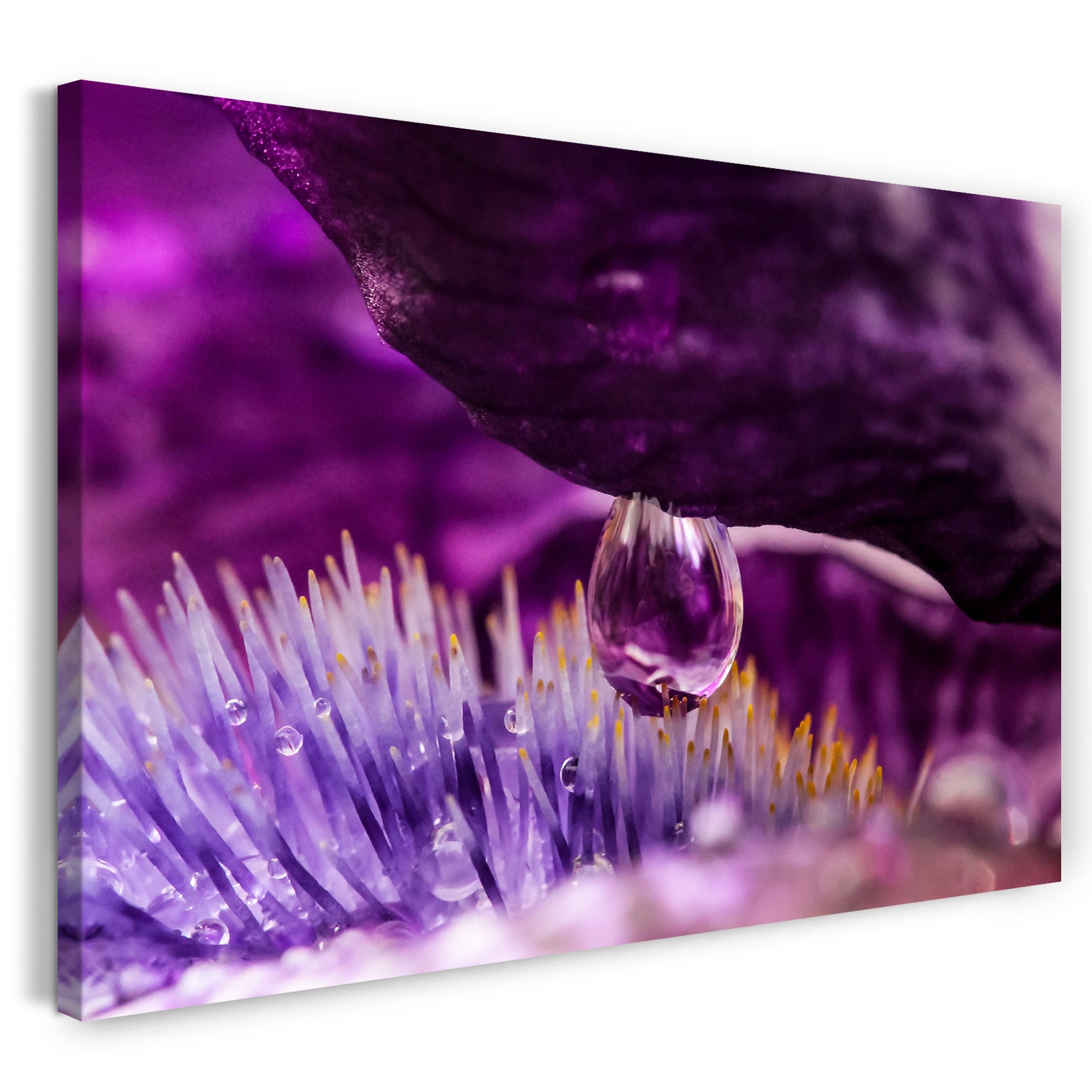 Leinwandbild Wassertau auf Blume Rose lila violett Farben Natur-Bilder Zimmer-Deko