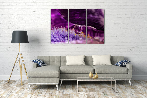 Leinwandbild Wassertau auf Blume Rose lila violett Farben Natur-Bilder Zimmer-Deko