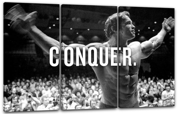 Leinwandbild Arnold Schwarzenegger Body Building Conquer Erobere