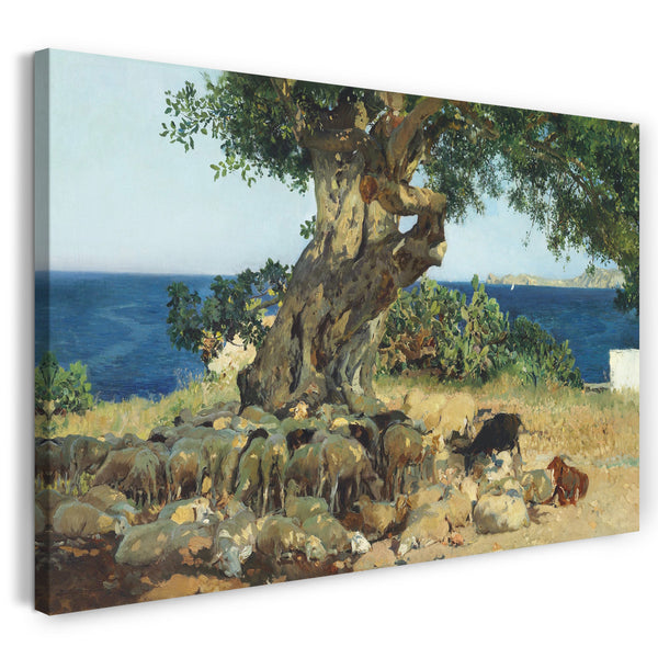 Leinwandbild Joaquín Sorolla - Johannisbrotbaum (Algarrobo, Carob tree)