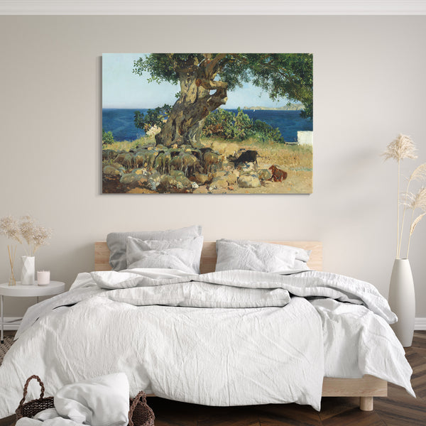 Leinwandbild Joaquín Sorolla - Johannisbrotbaum (Algarrobo, Carob tree)