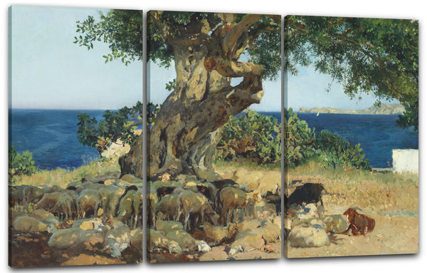 Leinwandbild Joaquín Sorolla - Johannisbrotbaum (Algarrobo, Carob tree)
