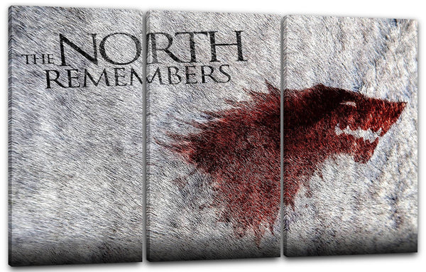 Leinwandbild Game of Thrones The North Remembers Stark Wappen grau-rot