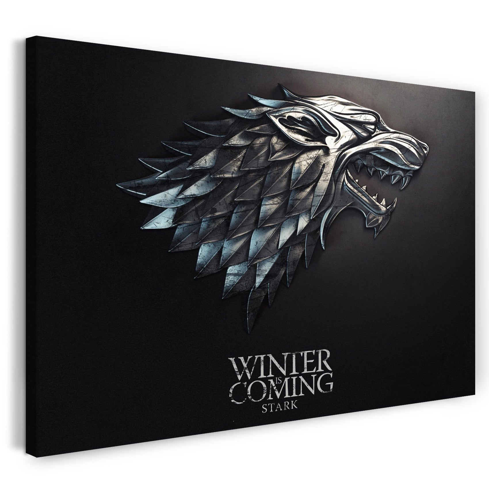 Leinwandbild Game of Thrones Winter is coming Stark Wappen silber schwarz