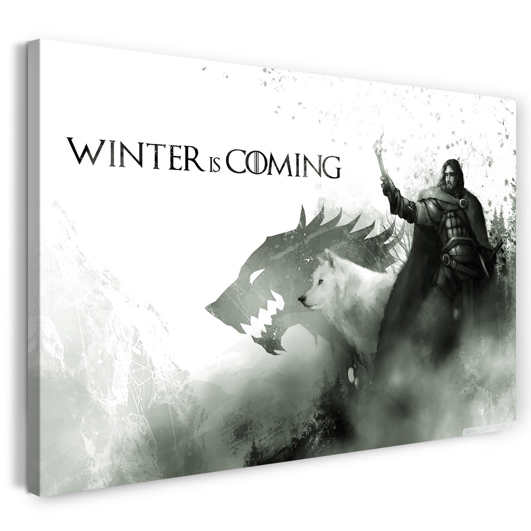 Leinwandbild Game of Thrones Winter is coming Wappen Drache Mann Fackel