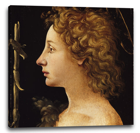Leinwandbild Piero di Cosimo - Der junge Johannes der Täufer