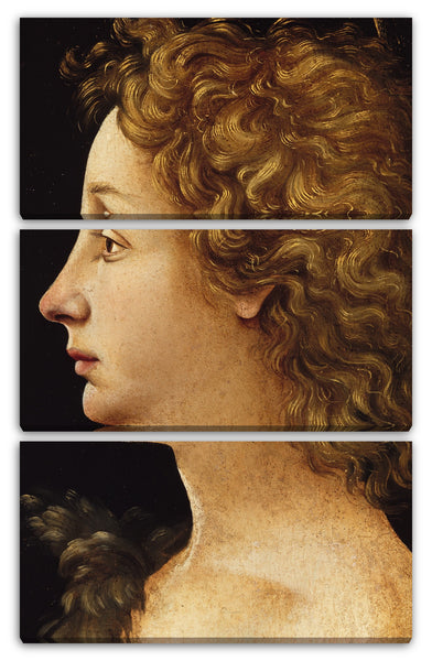 Leinwandbild Piero di Cosimo - Der junge Johannes der Täufer