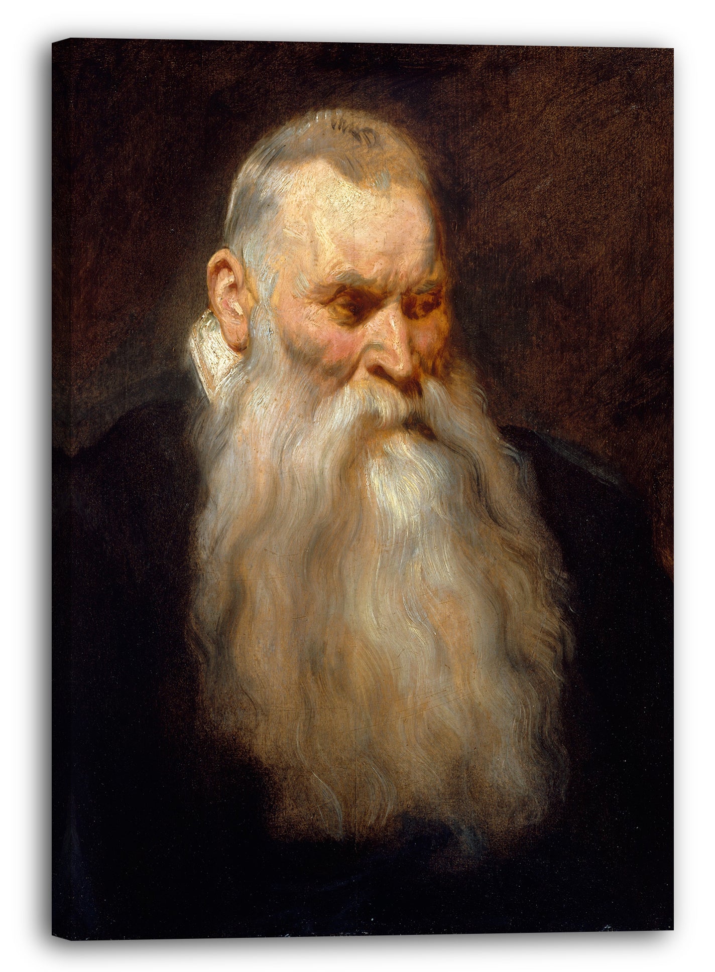 Leinwandbild Anthony van Dyck - Studie Kopf eines alten Mannes mit einem weißen Bart