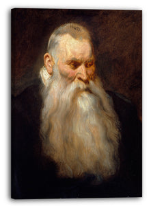 Leinwandbild Anthony van Dyck - Studie Kopf eines alten Mannes mit einem weißen Bart