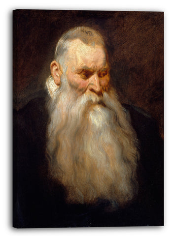 Leinwandbild Anthony van Dyck - Studie Kopf eines alten Mannes mit einem weißen Bart