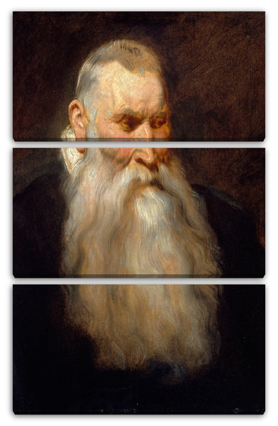 Leinwandbild Anthony van Dyck - Studie Kopf eines alten Mannes mit einem weißen Bart